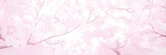 𝓛𝓲𝓪 𝓸𝓷 𝓮𝓭𝓽𝔀𝓽 banner