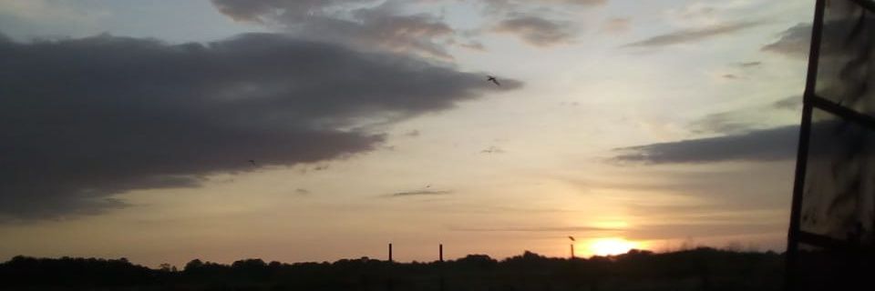 eduardogdog's profile banner image