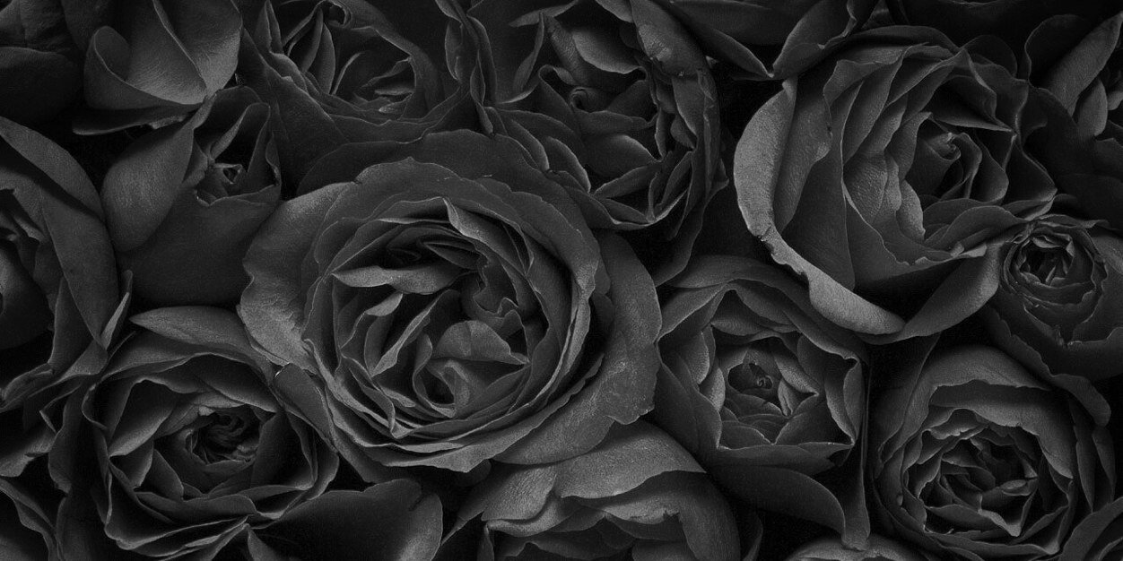 fadingandbroken's profile banner image