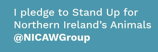 Northern Ireland Companion Animal Welfare Group Profile Banner