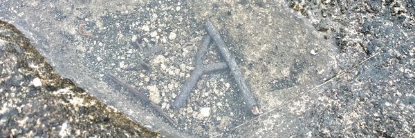 BBrosAdam Profile Banner