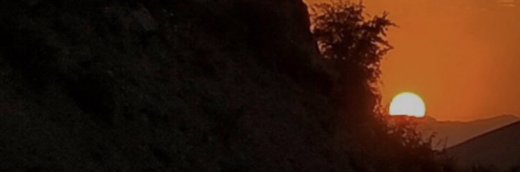 Anna___Ooo's profile banner image