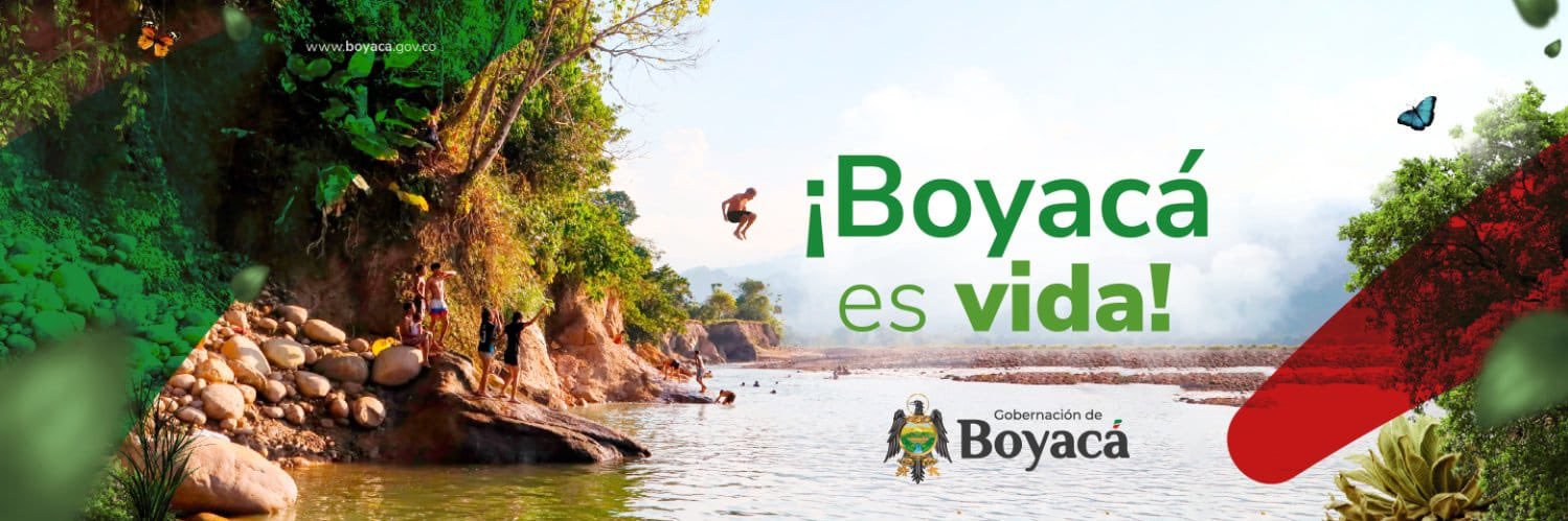 Daniela Assis Fierro banner