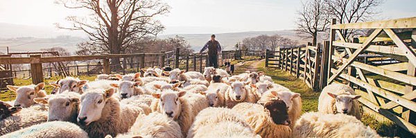 JeanTwixx Profile Banner