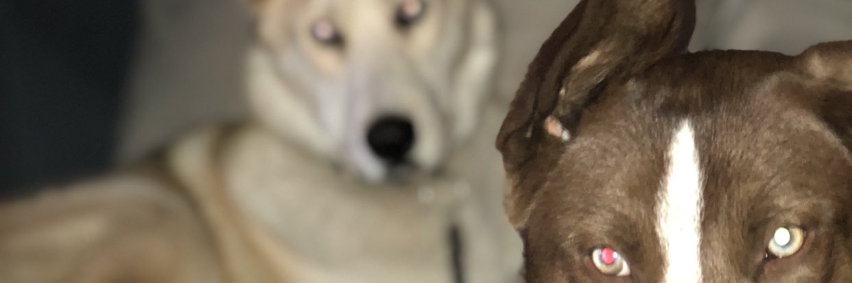 Jear_bear94's profile banner image