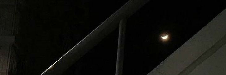 felixicat's profile banner image