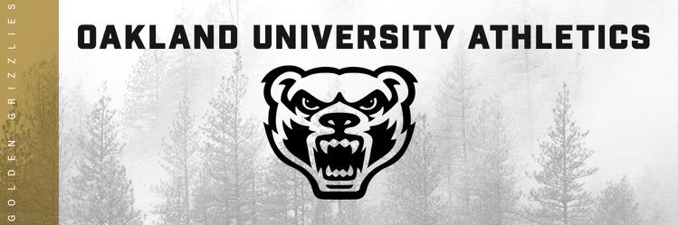 Mason Palermo banner