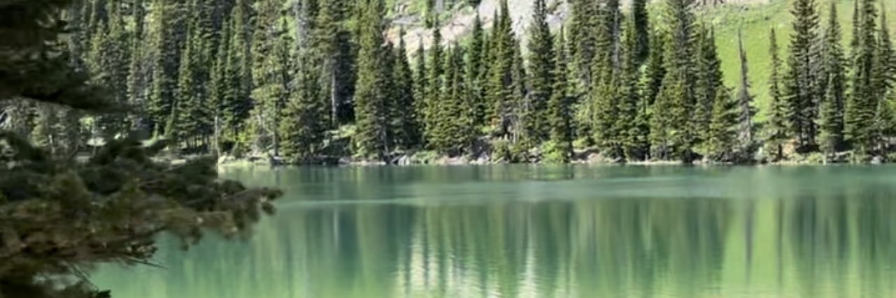 Scott Dworkin banner