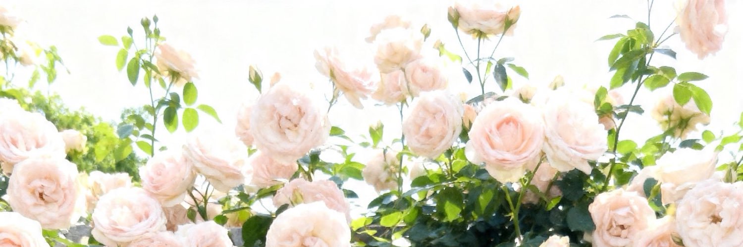 みてゃ banner