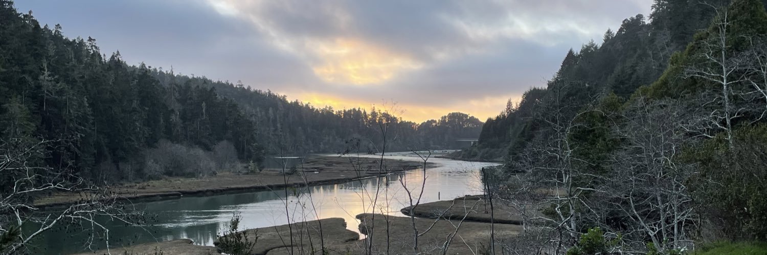 Brett Hellman banner