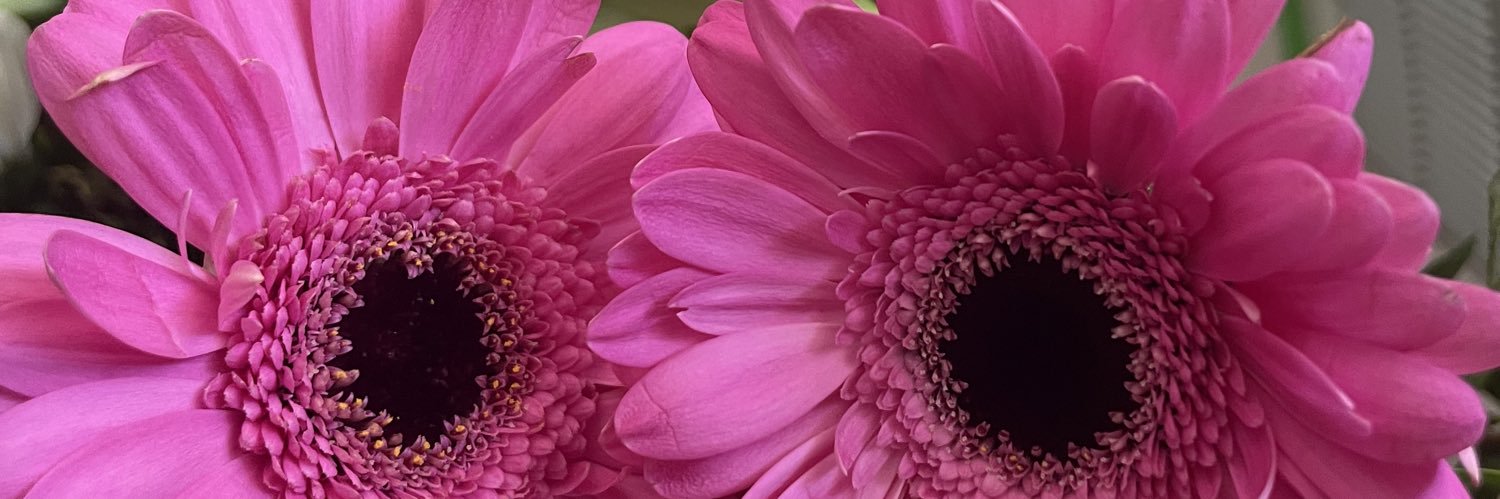 Tasna69's profile banner image