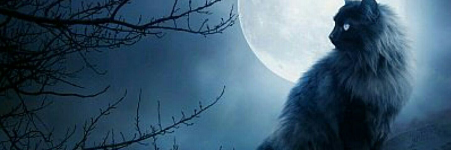 alevpp's profile banner image
