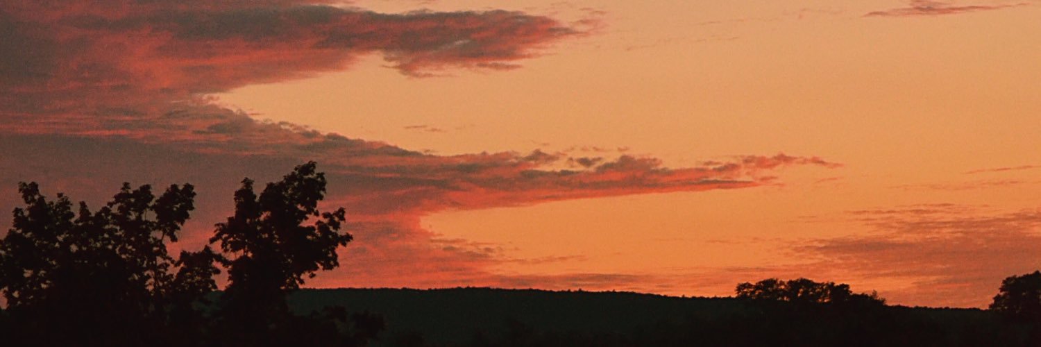 Femaleprodigy's profile banner image