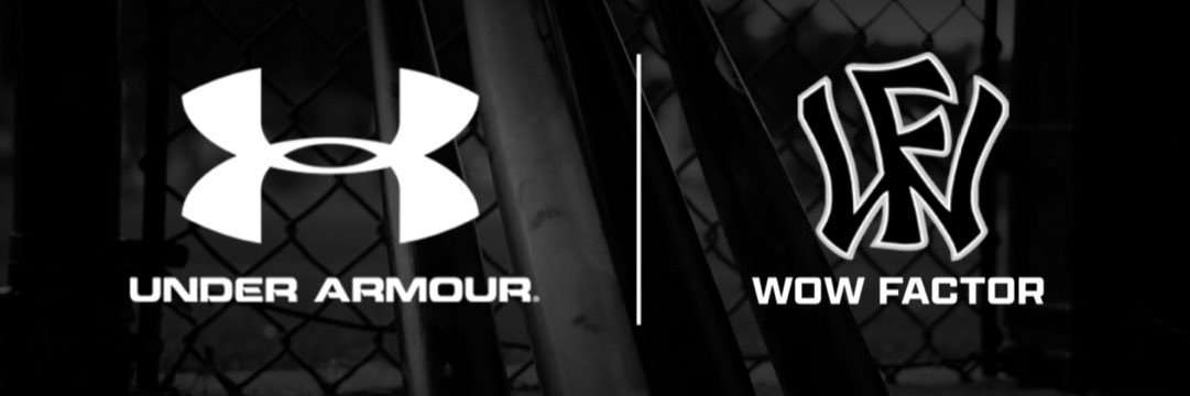 WowFactorBaseball_Academy banner
