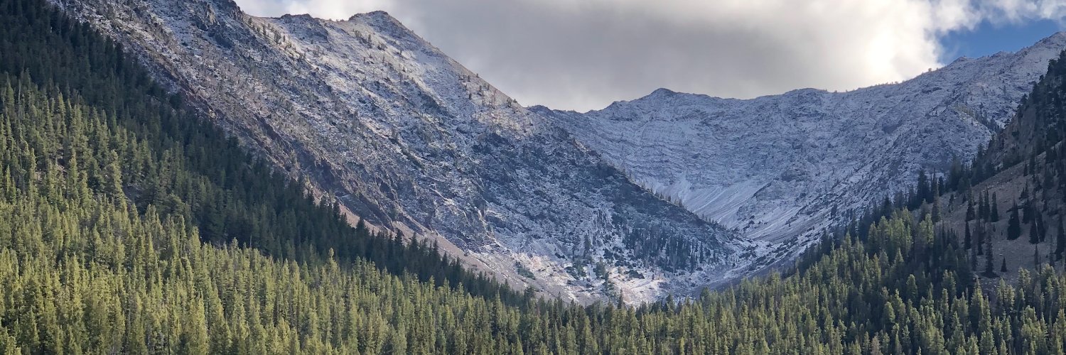 davemadden's profile banner image