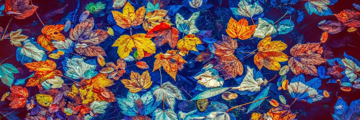another_small's profile banner image