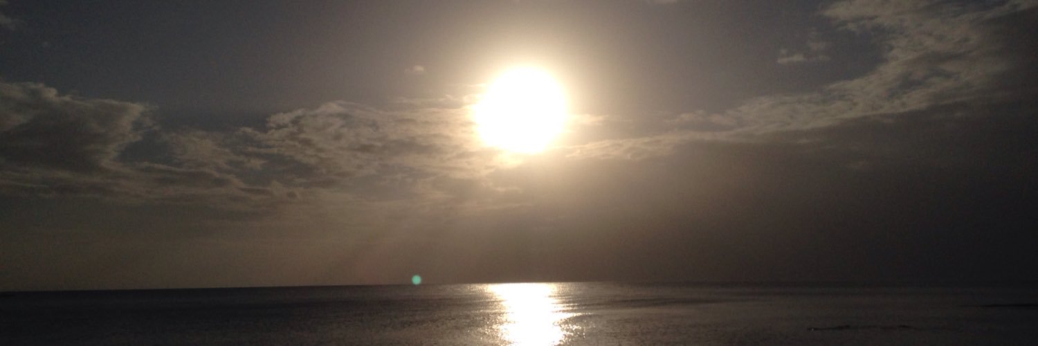 diannengan's profile banner image