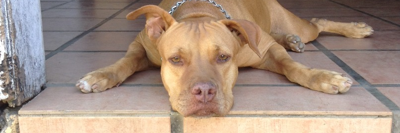 escorpiona63's profile banner image