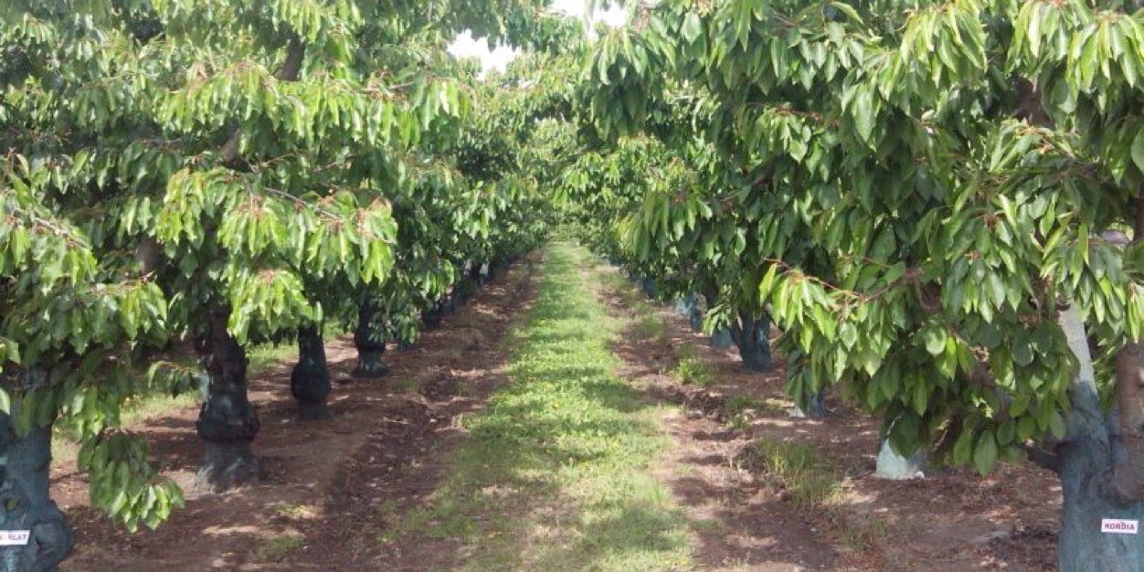 edrural's profile banner image