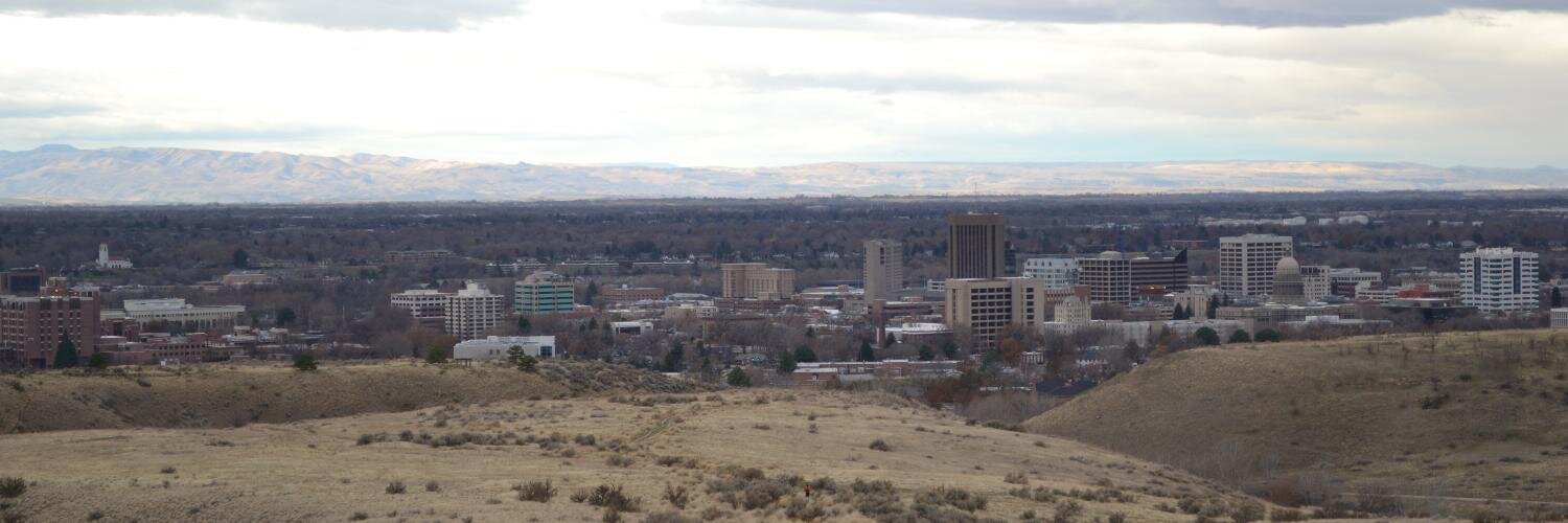 Marshall Simmonds banner