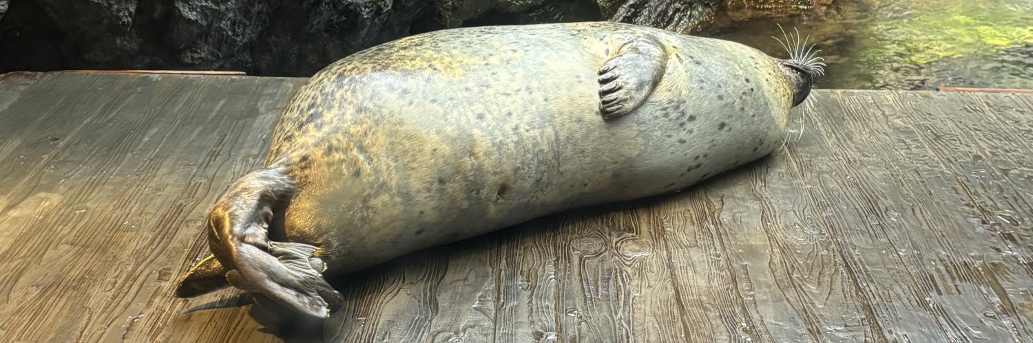 ややや@しゅみ🍅 banner