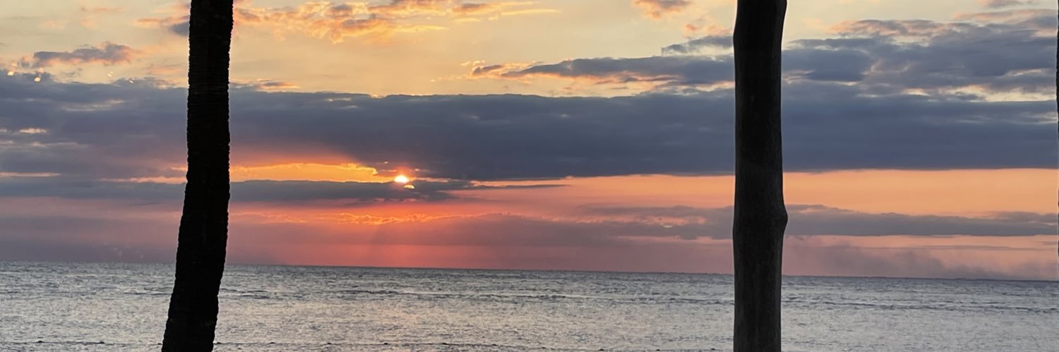 capagosa's profile banner image