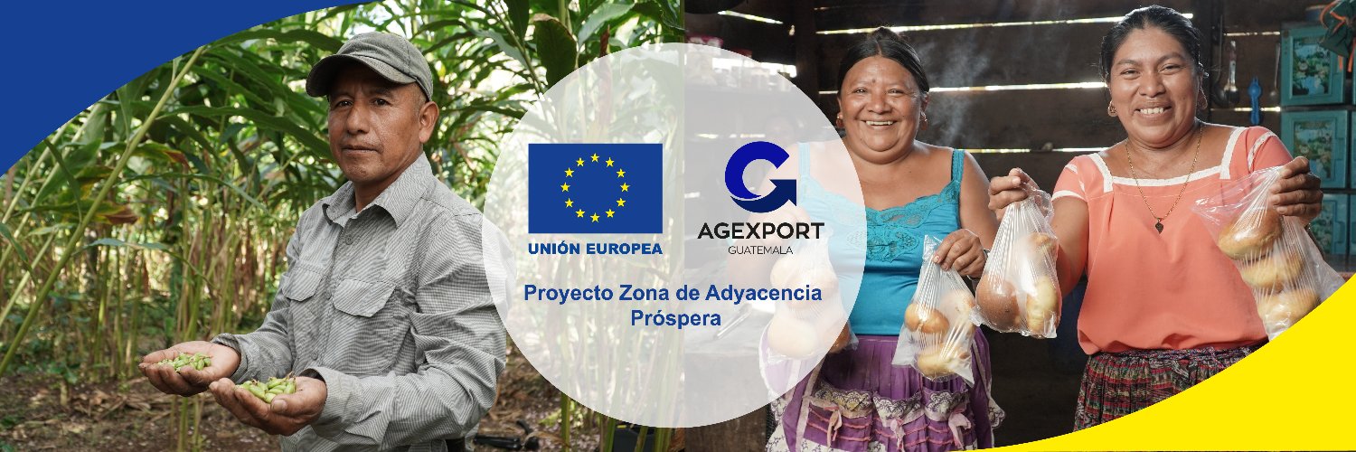 ProyectoZAP banner