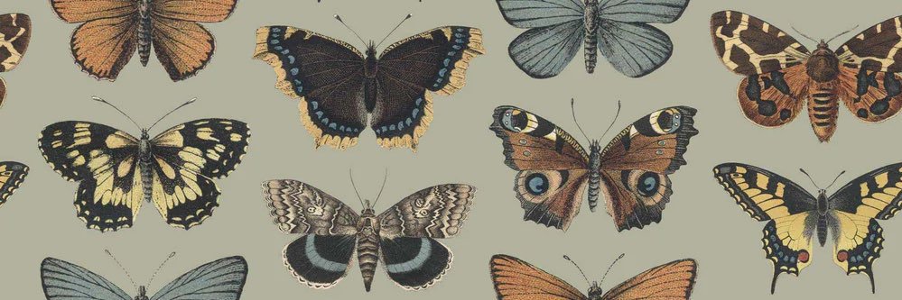 abby_rase's profile banner image