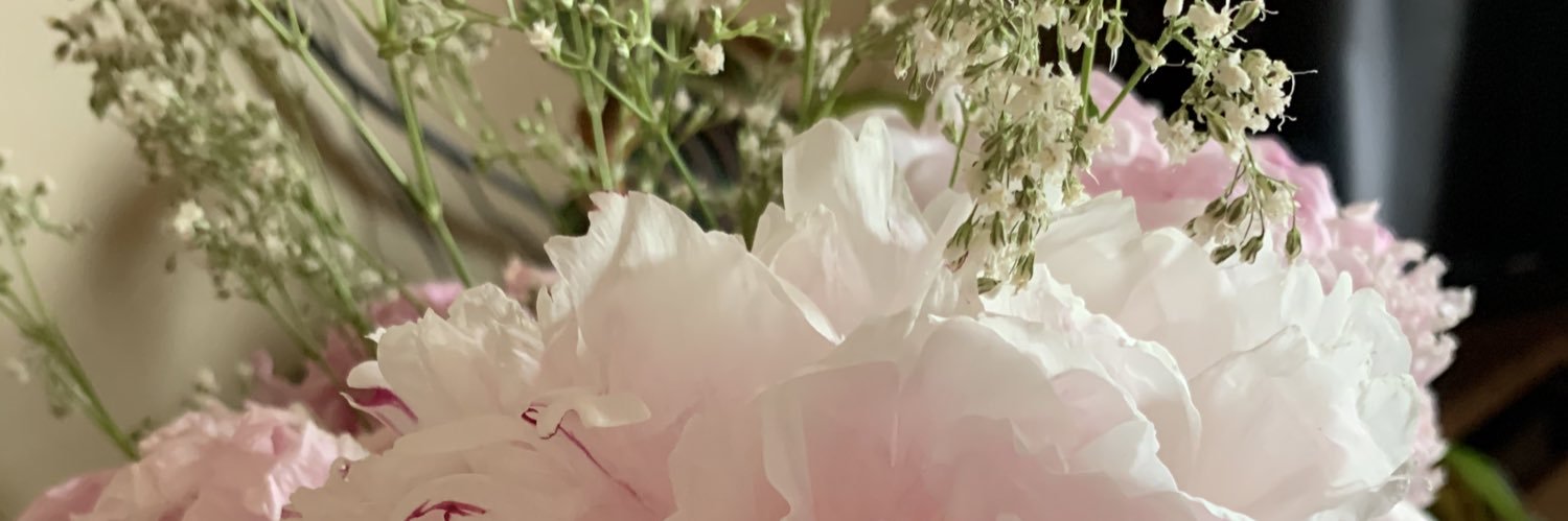 imperialbuster's profile banner image