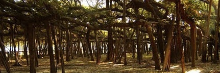 tomstites's profile banner image