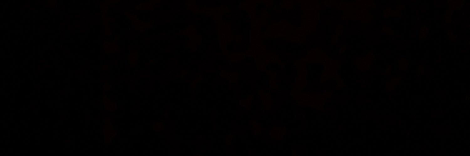 JenselOficial30's profile banner image