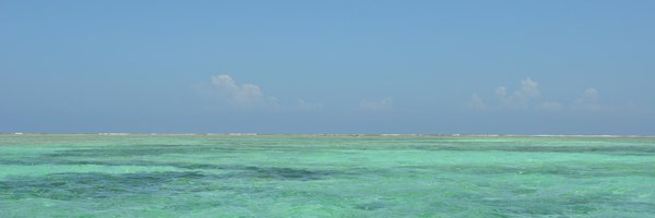 MeucciClaudio Profile Banner