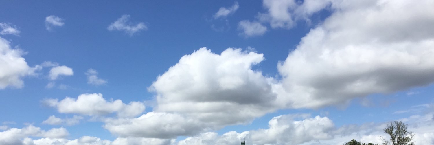amyballard's profile banner image