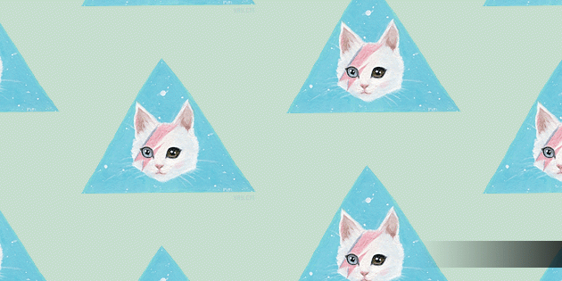 Hollycatmay's profile banner image