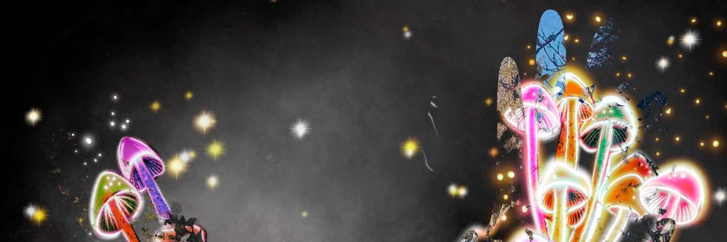 Lazy_6oy banner