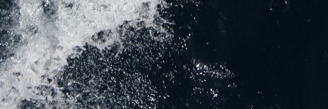 erikssonnL's profile banner image