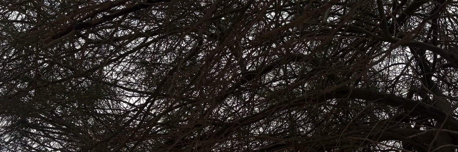 ًًًًًًًًًً banner
