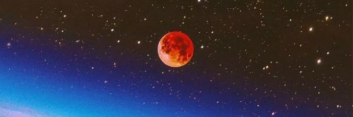 MonkeyKush422__ banner