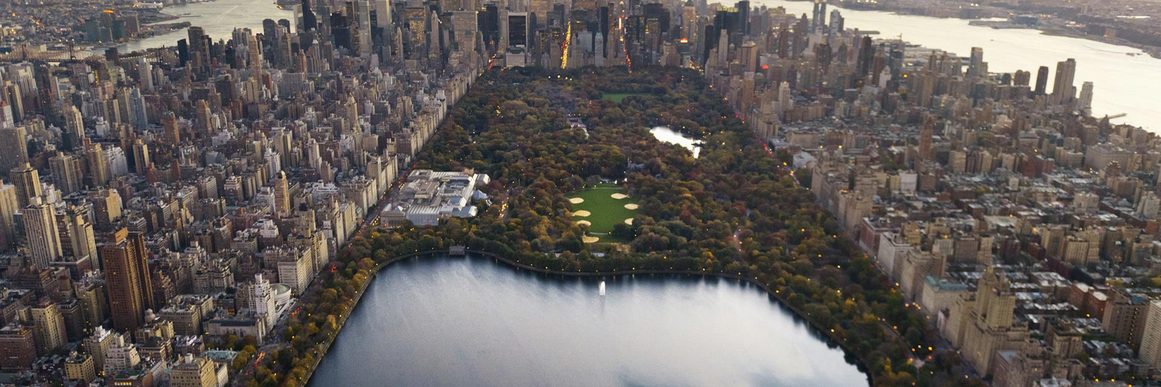 Cameron Burnham banner