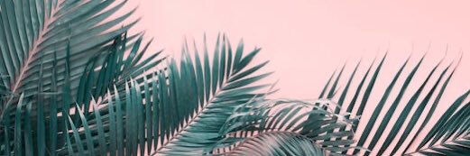 taaayyb's profile banner image