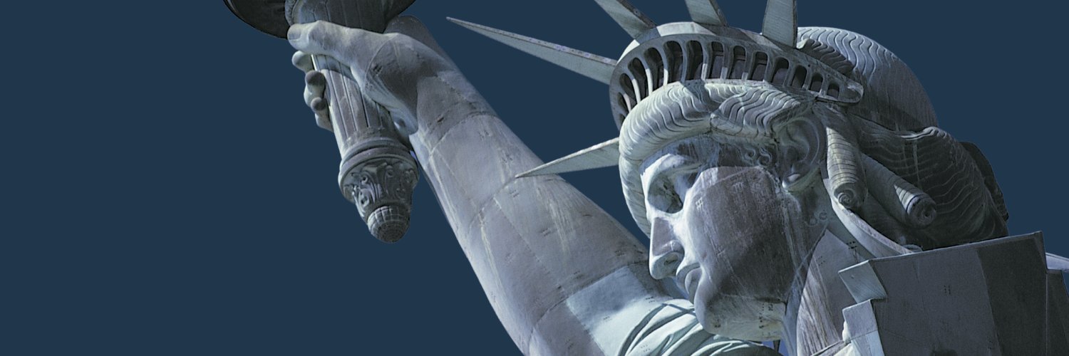 Defense of Freedom Institute's banner