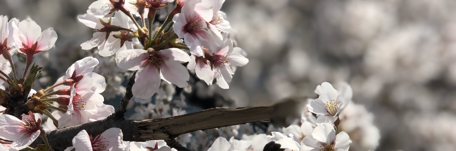 hrtk0311's profile banner image
