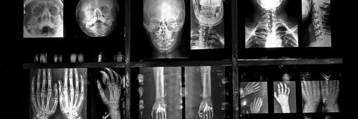 olive 🩺 - come home guy anatole 🇵🇸 banner