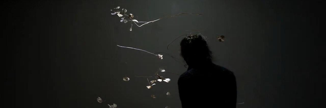 Berninæ (Bernardo Faustino López) banner