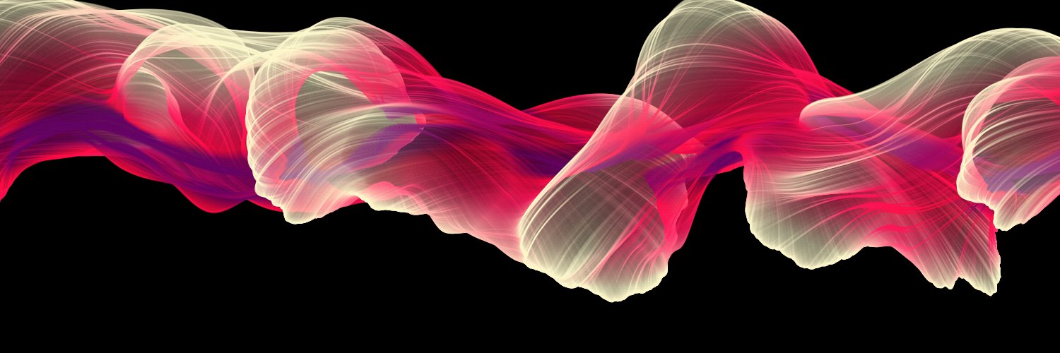 S h i n banner