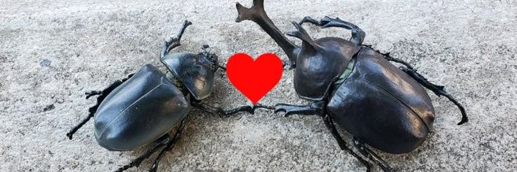 TalvezseaChris banner