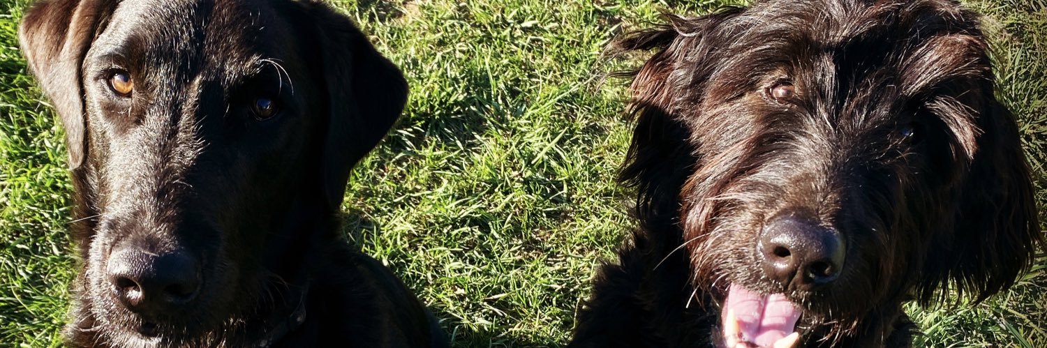 Shew20fan's profile banner image