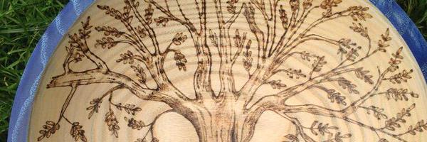 TestPappy Profile Banner