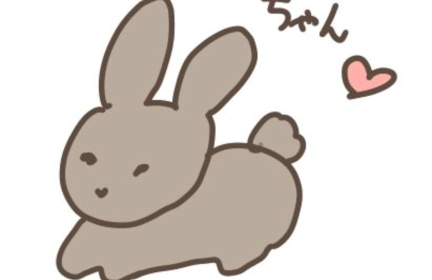 cyoko kinako(うさぎ🐰のチョコちゃん)'s banner