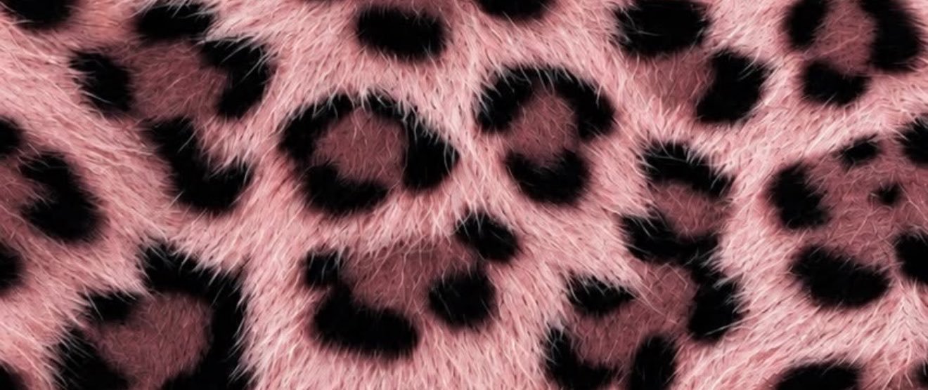 DaniBarranco13's profile banner image